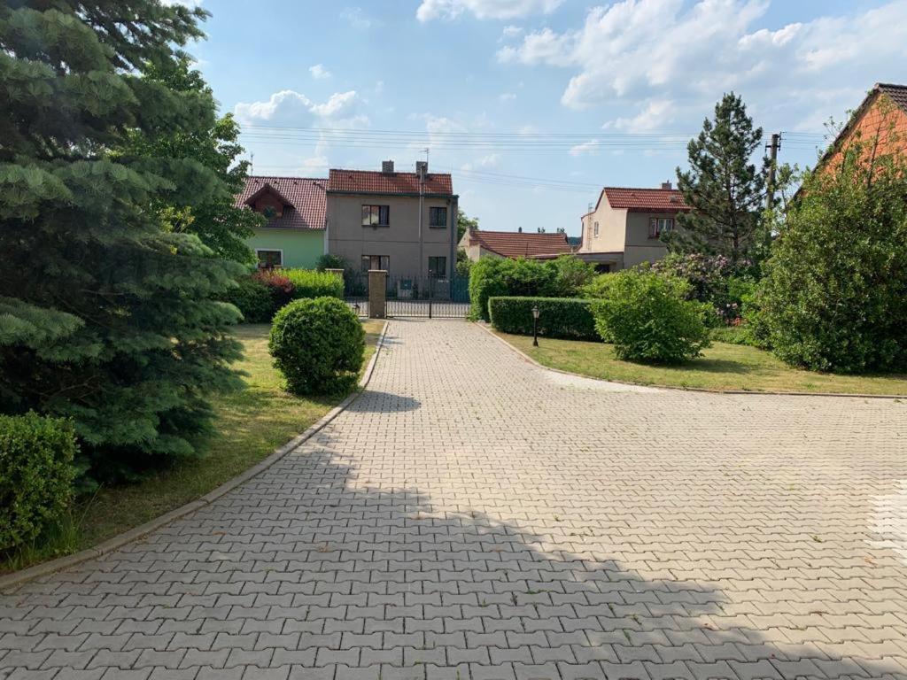 Dogs Resort And Spa Horni Bezdekov ภายนอก รูปภาพ